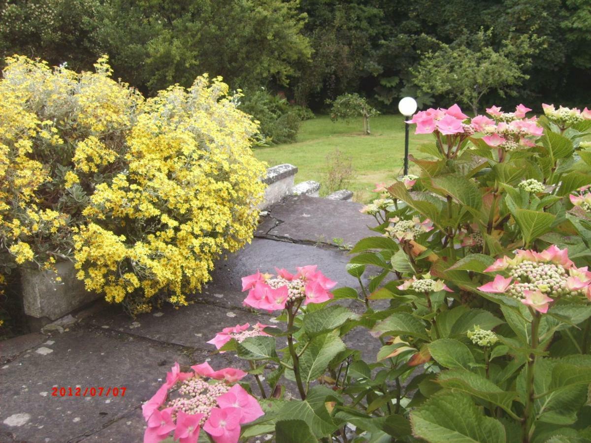 Sunnyside-Cottage เอนนิสไทมอน ภายนอก รูปภาพ